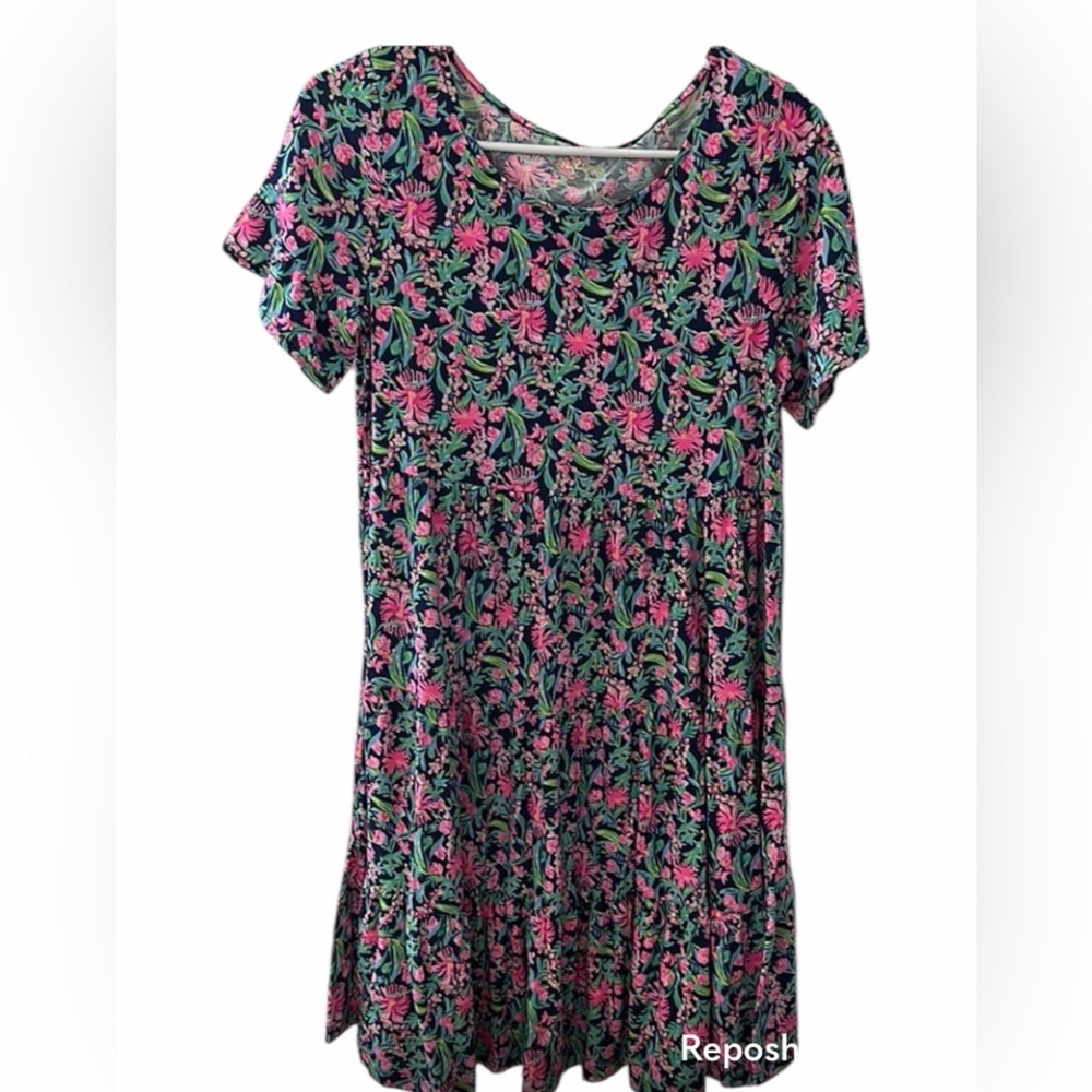 Lilly Pulitzer Floral Dress - Pink and Green